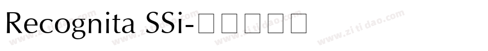 Recognita SSi字体转换
